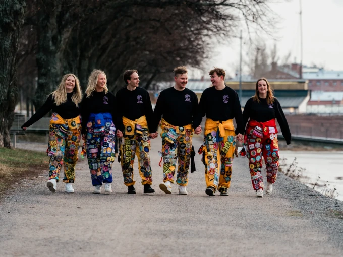 Pampasmaffian 20241208 358