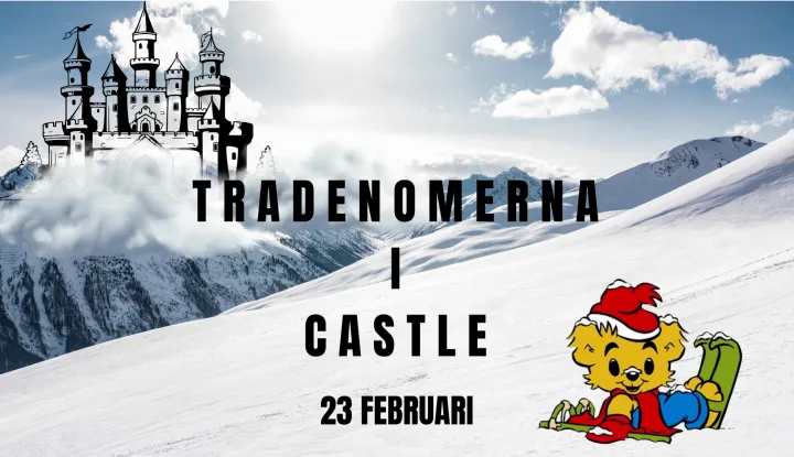 BANNER Trade i castle V24