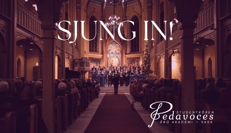 Pedavoces Sjung In Skarm Aulan 1200x800 4