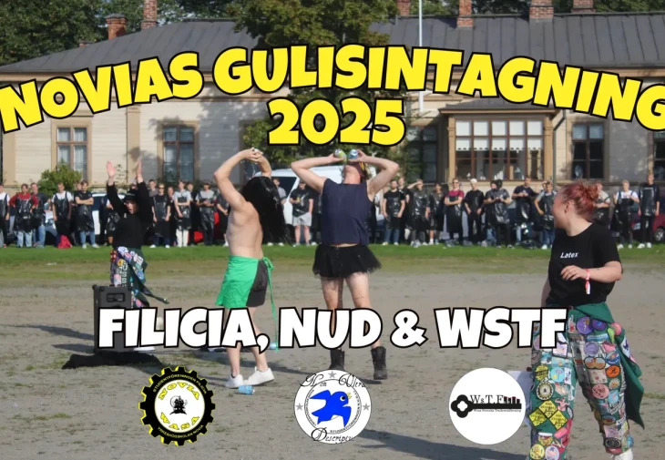 NOVIAS GULISINTAGNING png