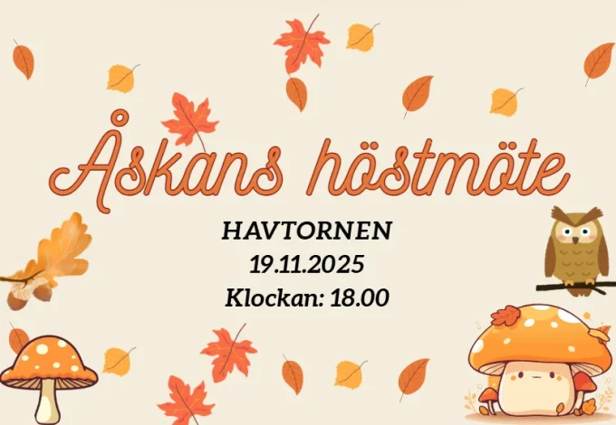 Skarmbild 2025 11 02 204310