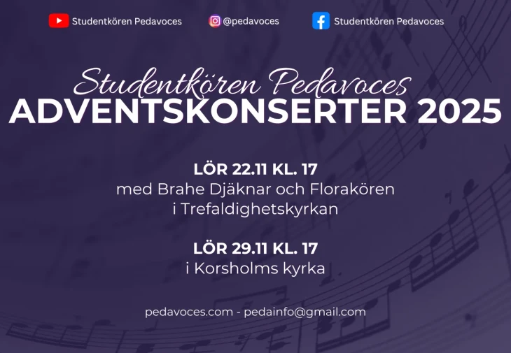 Adventskonserter liggande banner 2