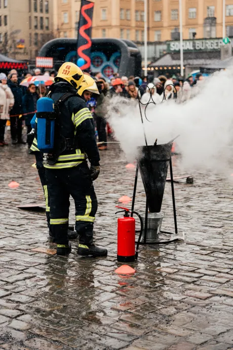 Pampas 20240322 45 2