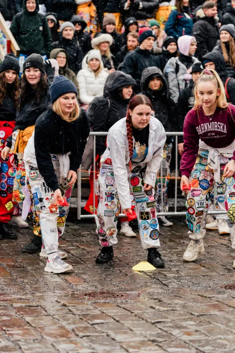 Pampas 20240322 69 2