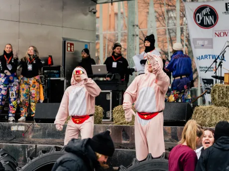 Pampas 20240322 75 2