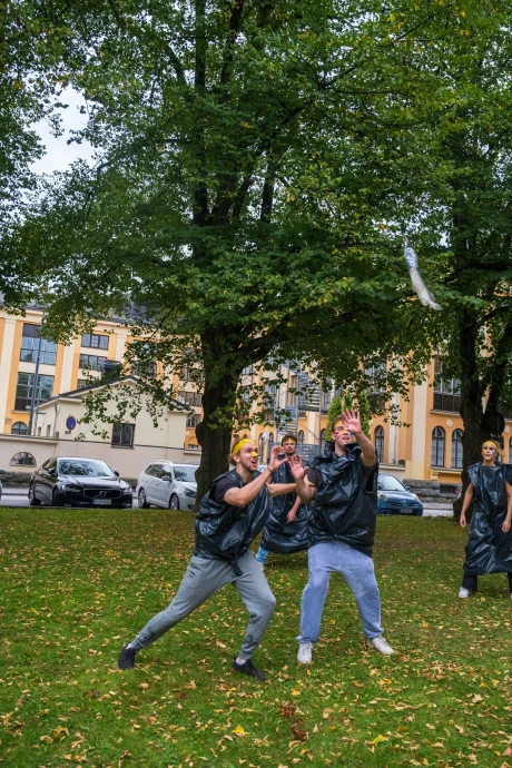 dsf1167 53990053830 o