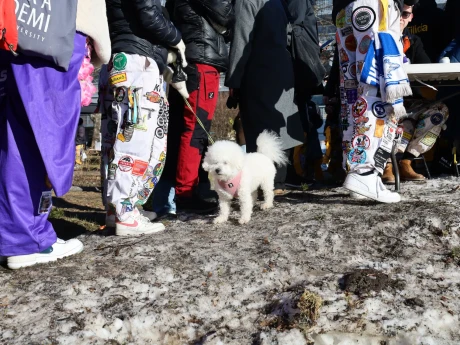 i0bNE004O0Ipi4IJx7LO1cZB9Q6QrXo2