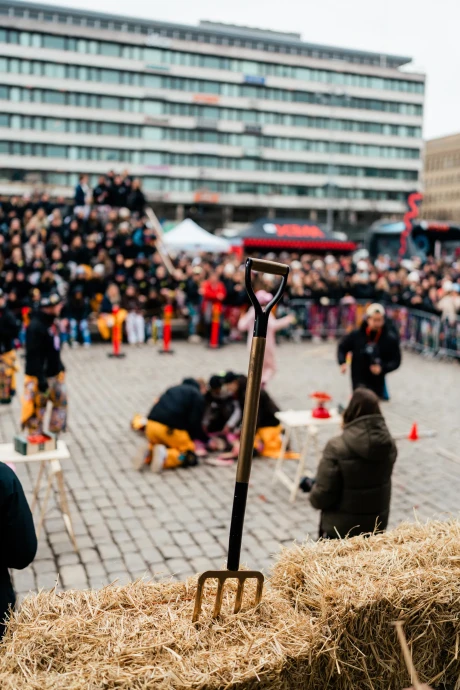 Pampas nationaldag 20250328 499