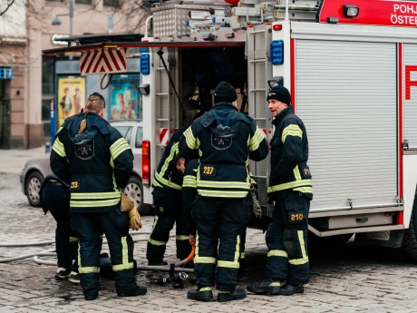 Pampas nationaldag 20250328 63