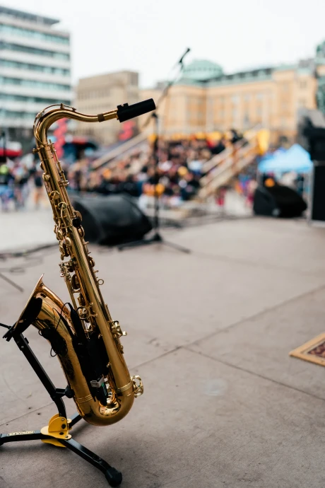 Pampas nationaldag 20250328 76