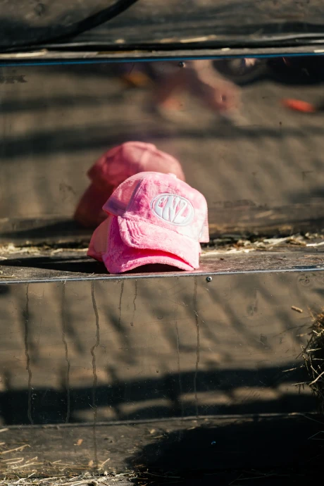 Pampasnationaldag 20260327 186