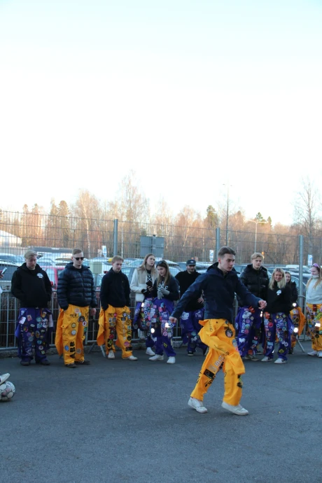 IMG 2559