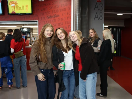 IMG 2668