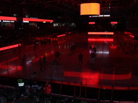 IMG 2702