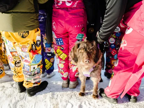 18PdY8cgwRu34I5ssRBAXrUoMC6KCHva