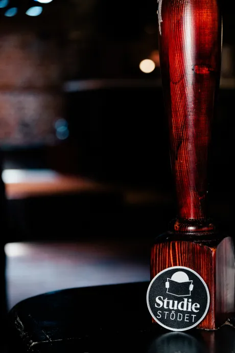 Studiestodet 20240308 134